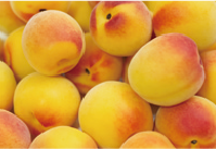 ウメ果実エキス